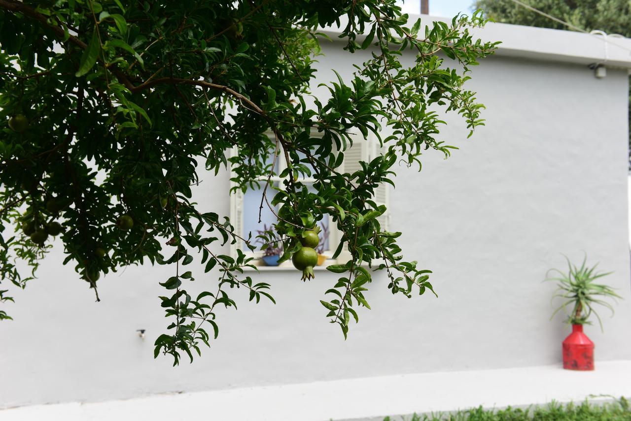Plakias Riviera Lägenhet Exteriör bild